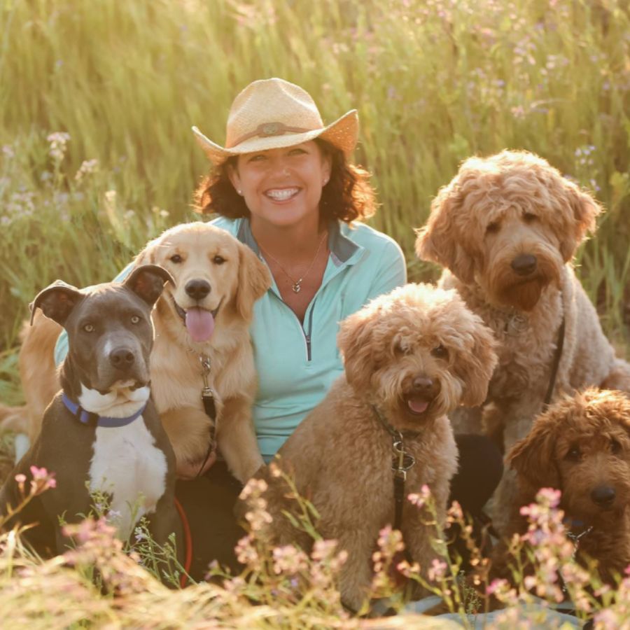 A woman smiling in a field with five dogs: a pit bull, a golden retriever, and three labradoodles, during golden hour sunlight.